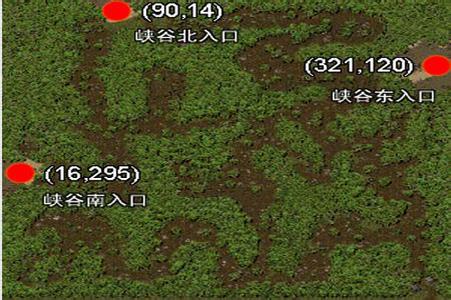 传奇丛林迷宫