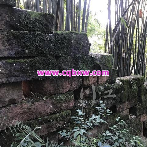 探索遗忘古城的秘密，刚开一秒中变传奇私服的冒险之旅