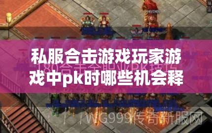 私服合击游戏玩家游戏中pk时哪些机会释放出来伤害减免专业技能较